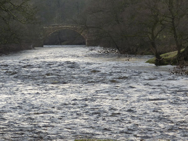Barden Bridge